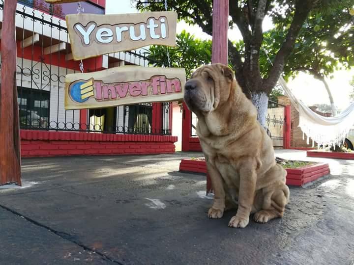 Posada Turistica Yeruti Encarnación Exteriör bild